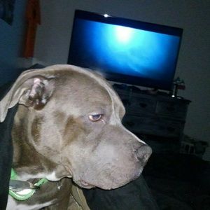 Meet your Posher, Brent